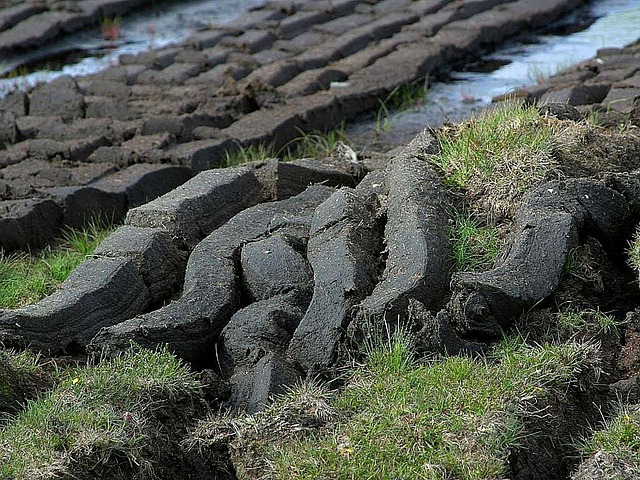 Turbas de  Peat Moss como tipos sustratos para hidroponía y cultivos hidropónicos